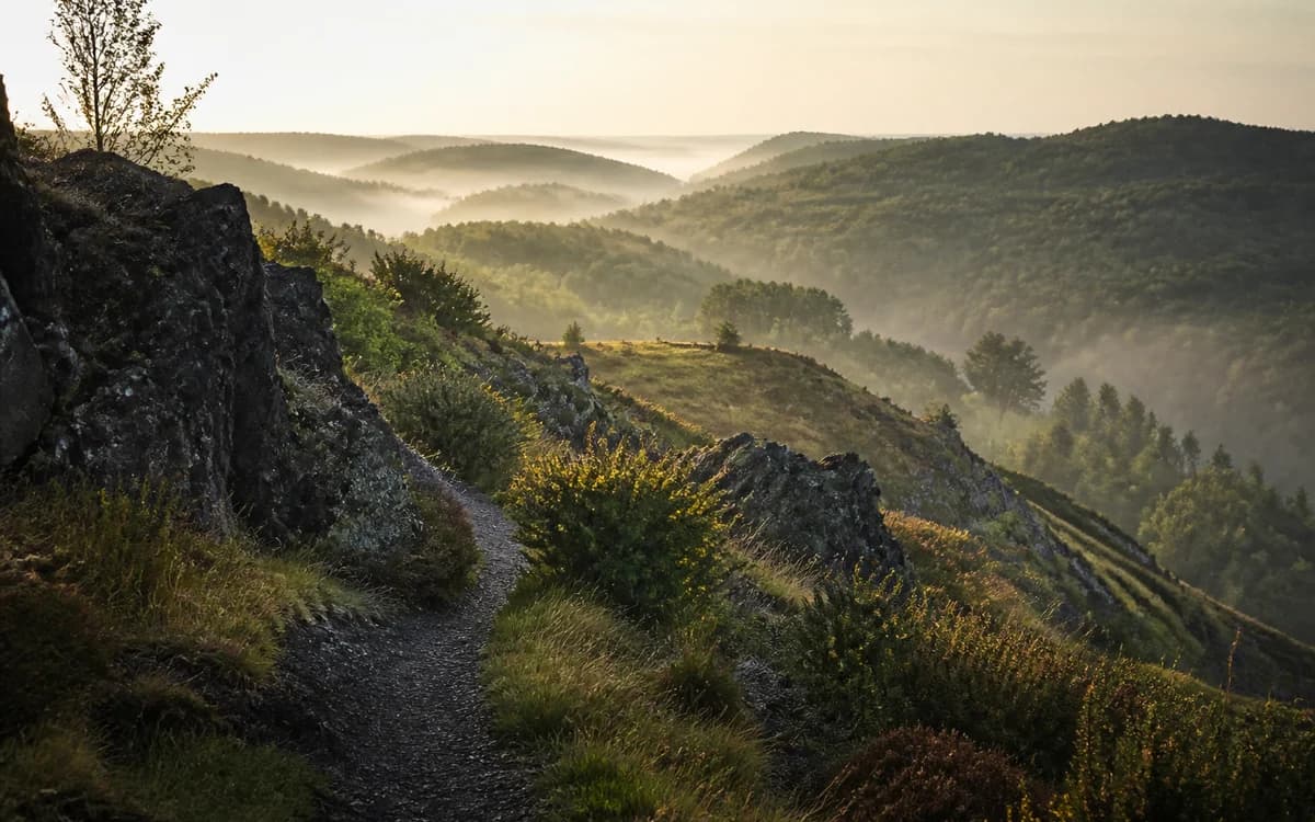 Schmaler Pfad durch vulkanische Felsen und Heide in der Eifel