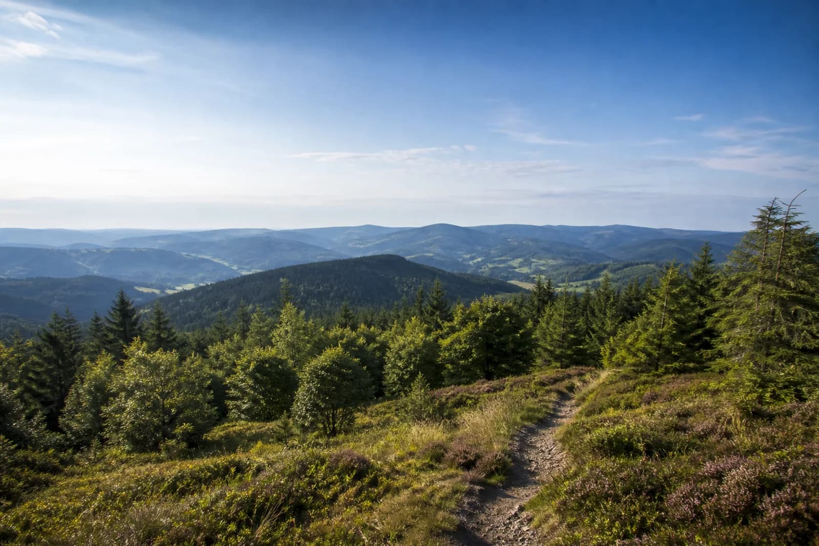 Sauerland mit schmalem Höhenweg, Heide und bewaldeten Rothaargebirgsrücken