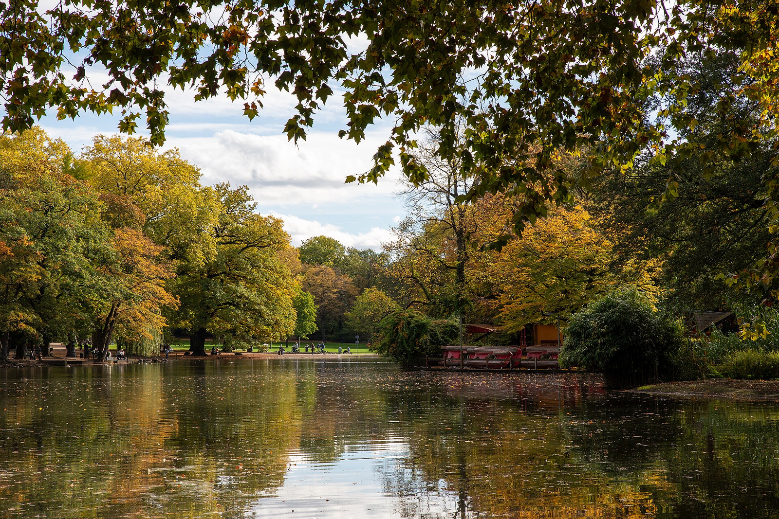 Herbstlich gefärbte Bäume spiegeln sich im Weiher des Volksgartens, am Ufer liegen Ruderboote