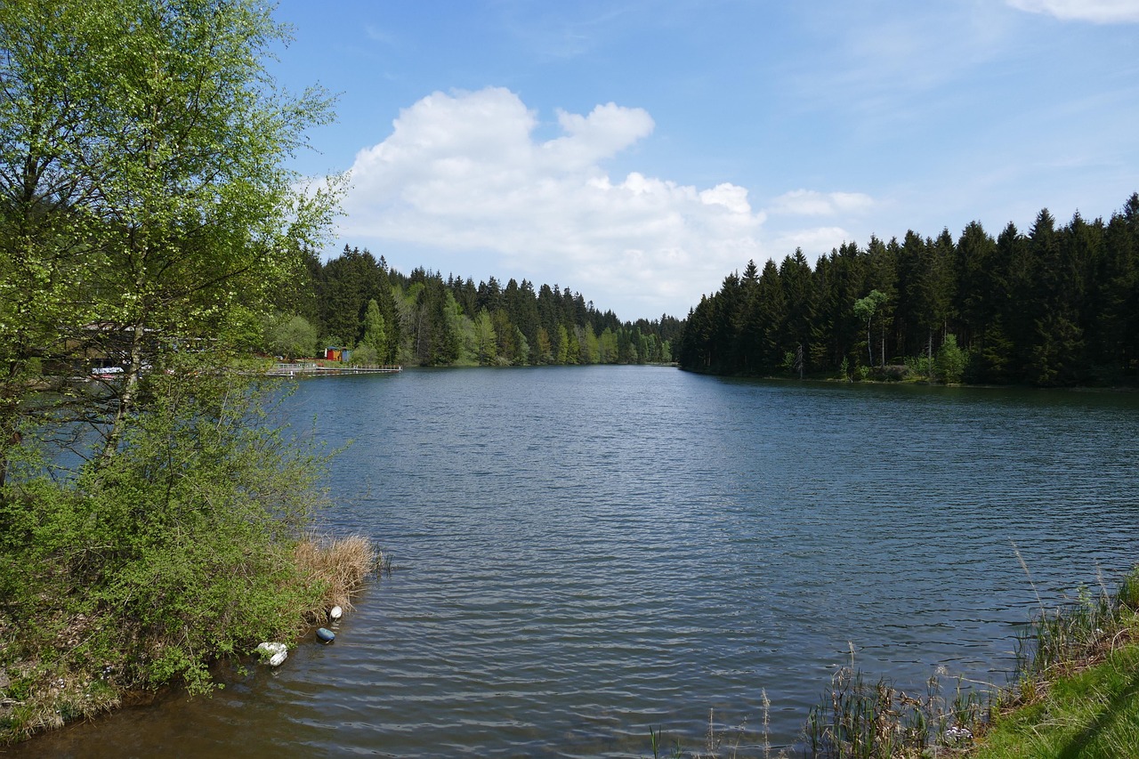 Ein Teich zwischen dichtem Fichtenwald, links frisch belaubte Birken, am linken Ufer ein Steg und eine kleine rote Hütte