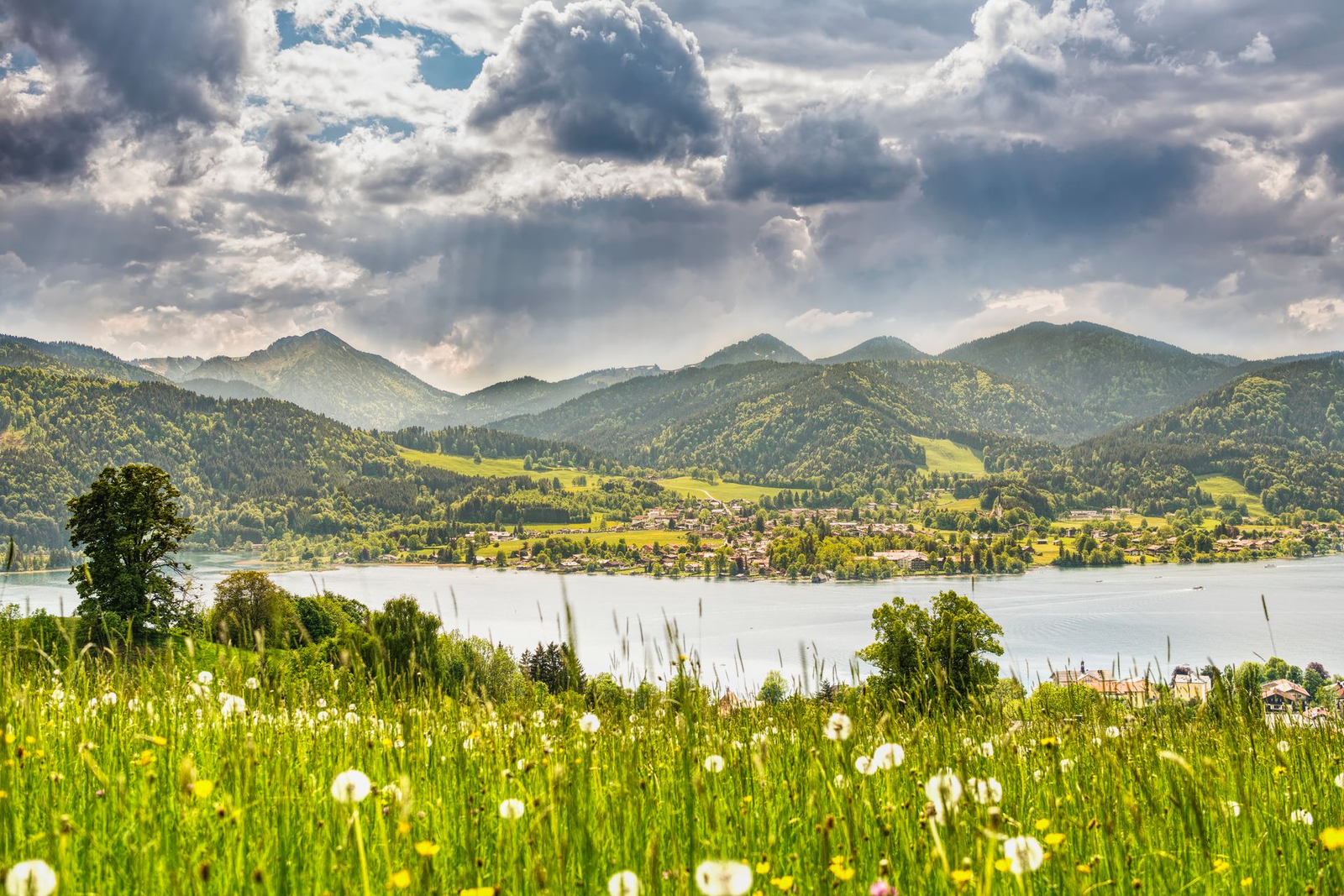 Blühende Wiese mit Löwenzahn vor dem Tegernsee, am anderen Ufer Orte und bewaldete Berge unter dunklen, aufreißenden Wolken