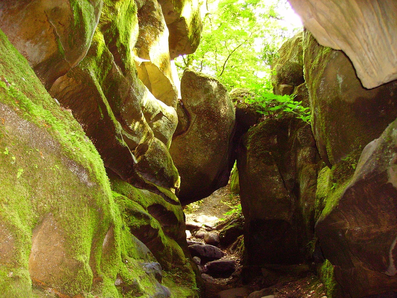 Moosbewachsene Sandsteinwände und ein eingeklemmter Felsblock über einem schmalen Pfad in der Teufelsschlucht