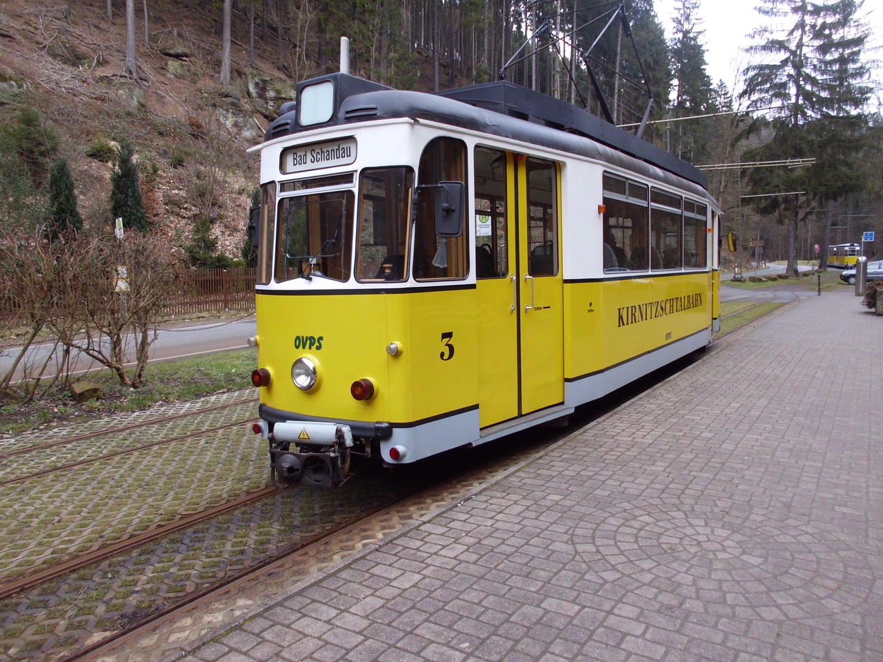 Gelb-weißer Triebwagen Nummer 3 der Kirnitzschtalbahn mit der Zielanzeige Bad Schandau an einer gepflasterten Haltestelle neben der Straße, dahinter bewaldete Hänge