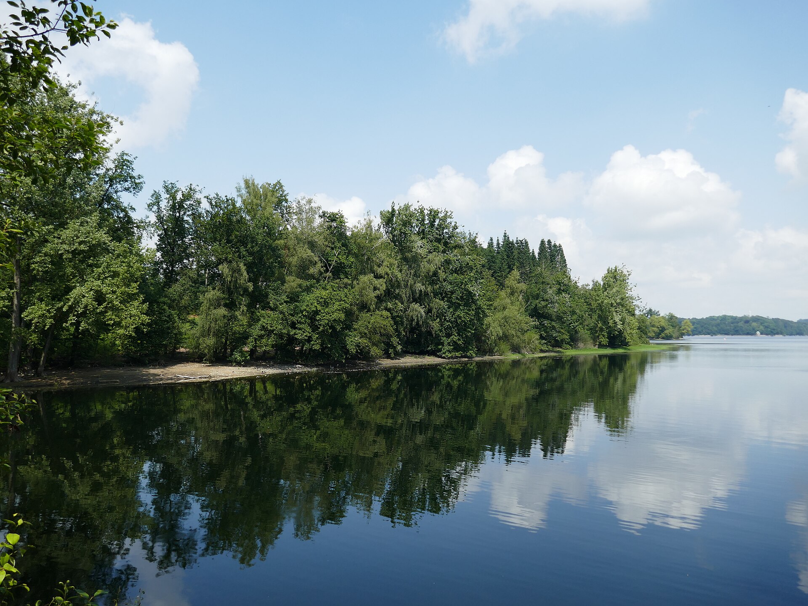 Bewaldetes Ufer mit schmalem Sandstreifen, das sich im ruhigen Wasser spiegelt, darüber blauer Sommerhimmel mit weißen Wolken