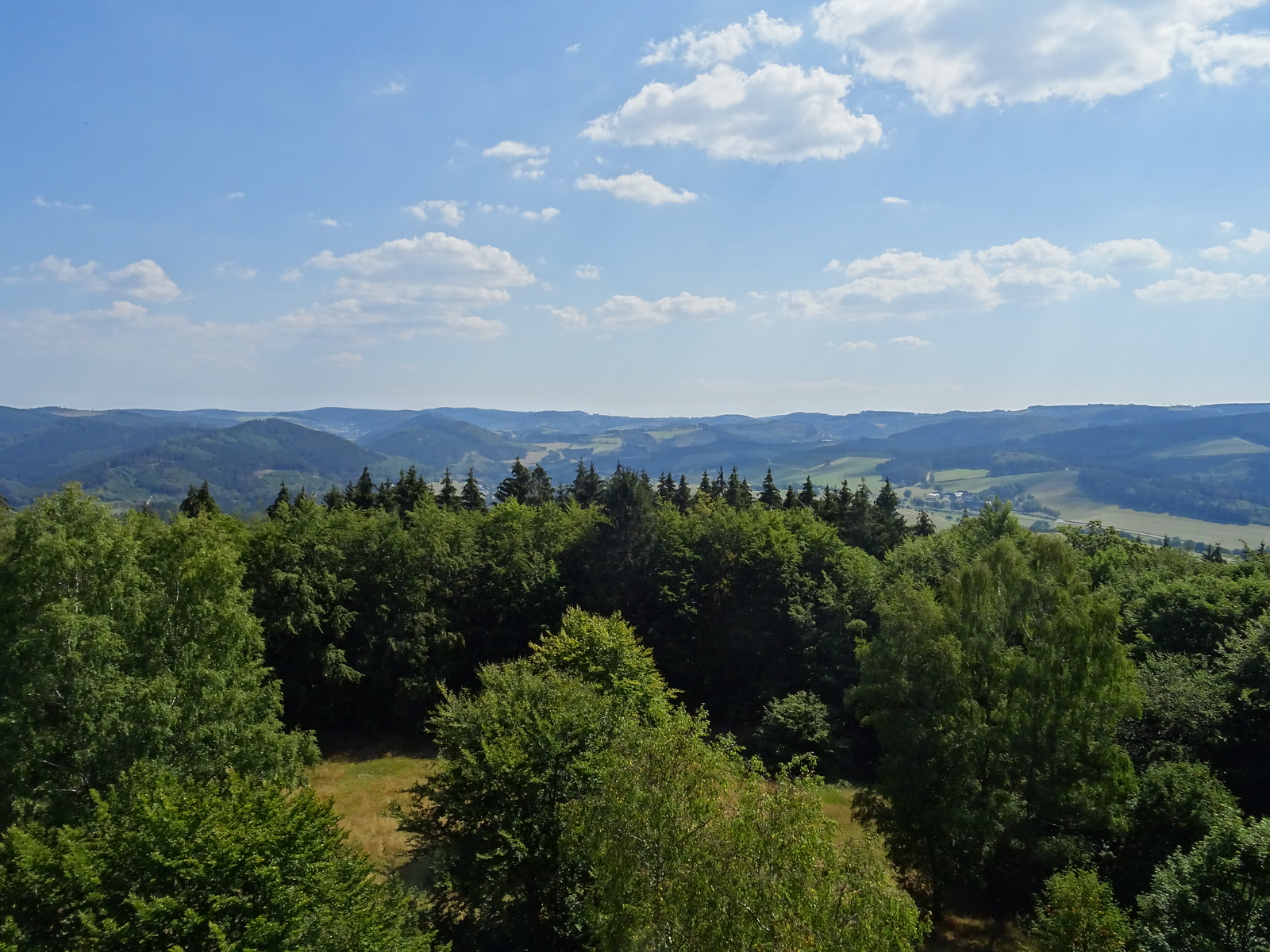 Blick von einem Aussichtsturm über Laub- und Fichtenkronen auf sanfte Hügel mit Wäldern und Feldern, darüber blauer Himmel mit leichten Wolken