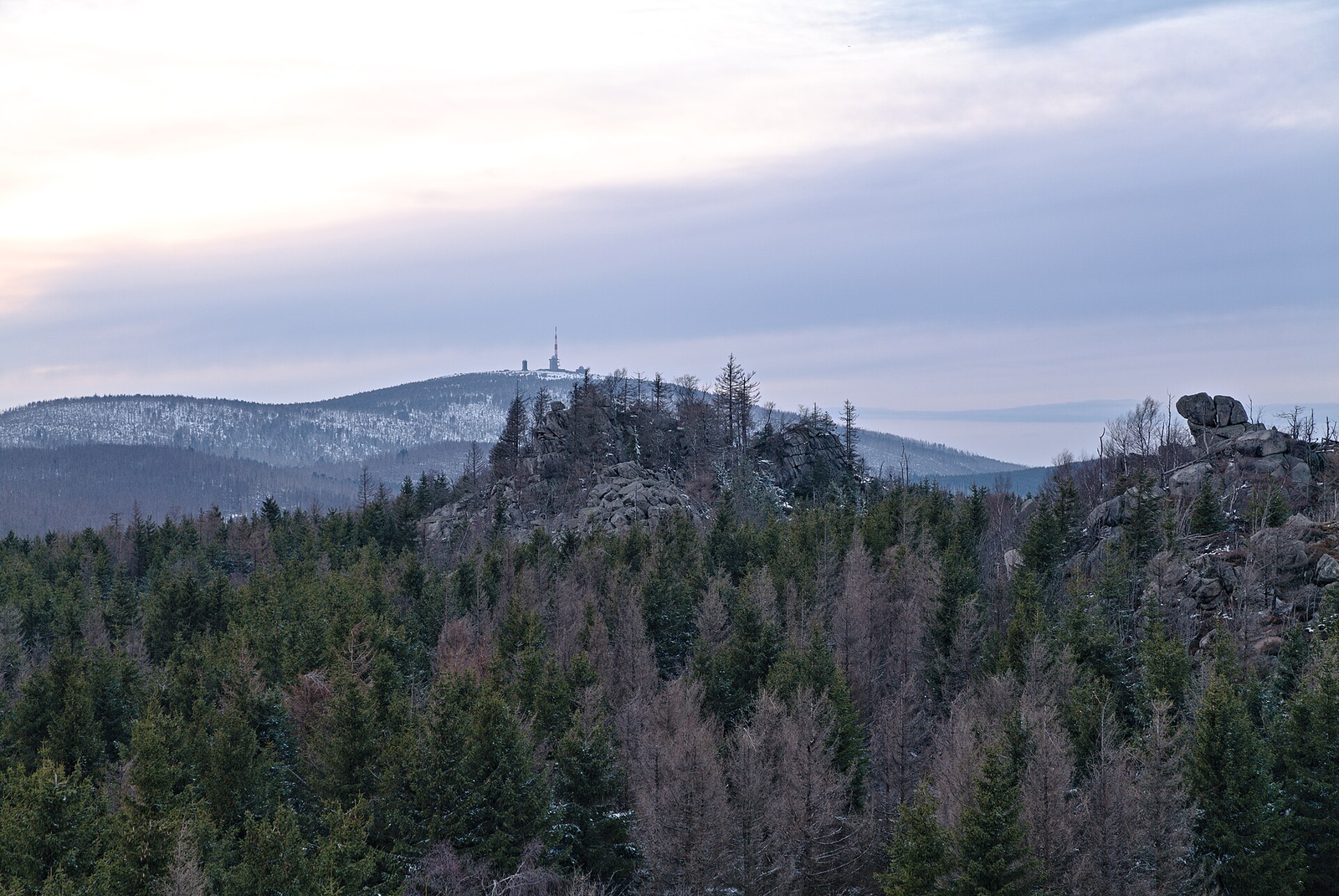 Blick von der Leistenklippe über Fichtenwald mit grünen und abgestorbenen Bäumen und über Granitfelsen der Hohneklippen zum Brocken mit Sendeturm und Gipfelgebäuden, an seinen Hängen Schneereste