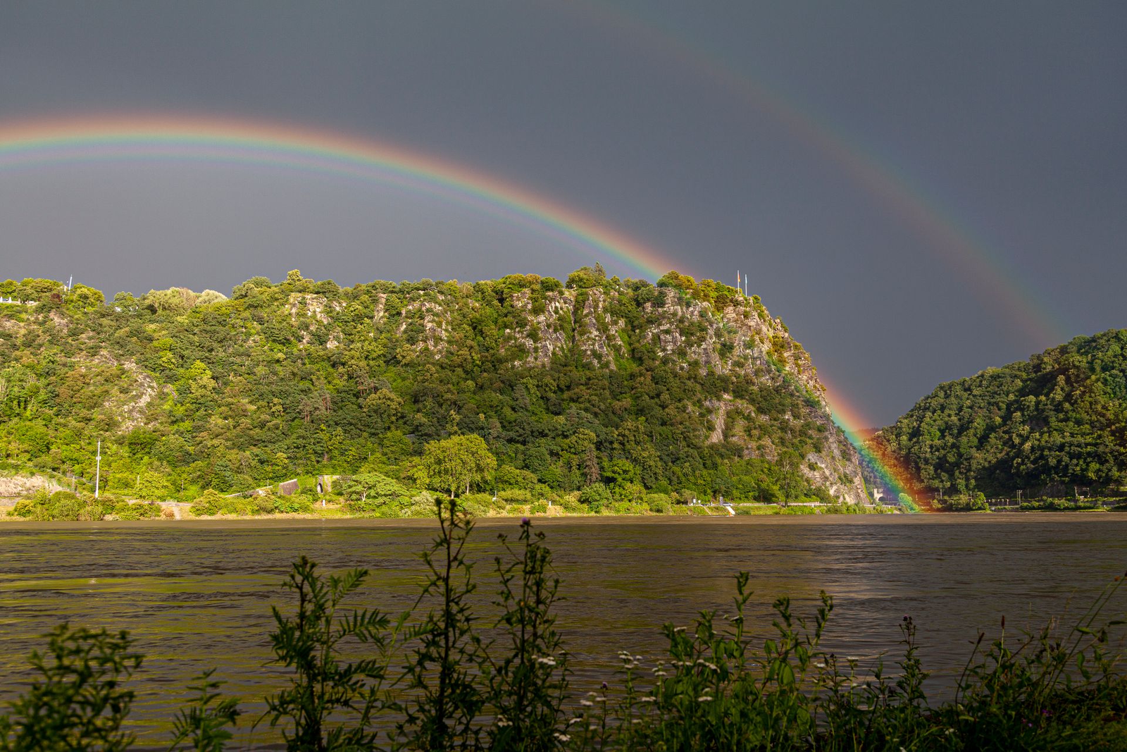 Der bewaldete Loreley-Felsen über dem Rhein unter dunklem Himmel mit doppeltem Regenbogen, im Vordergrund Uferpflanzen