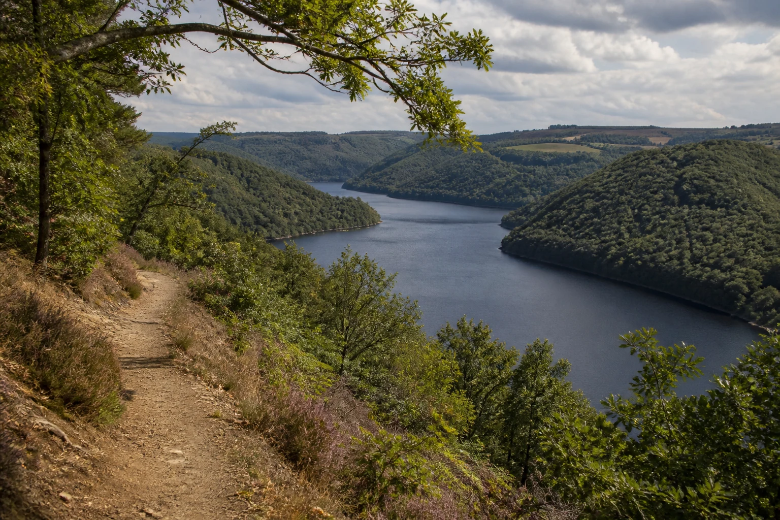 Rursee in der StädteRegion Aachen zwischen bewaldeten Eifelhöhen
