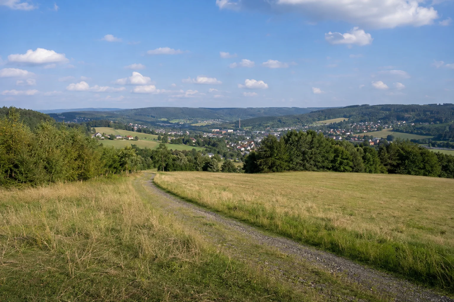 Rebersreuther Höhe: offene hügelige Wiese mit Feldweg und kleinen Waldinseln
