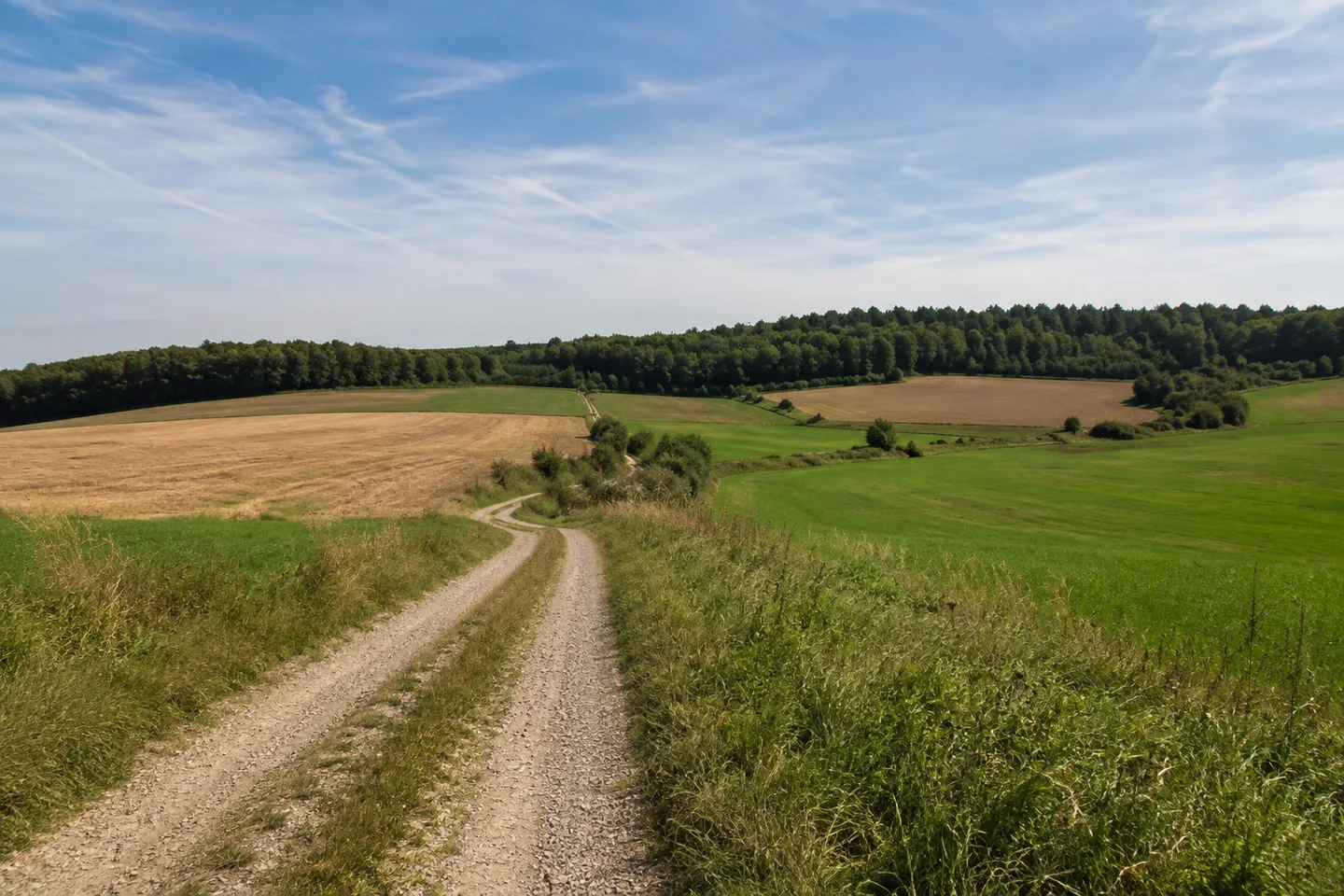 Offene Jurahochfläche bei Körzendorf im Ahorntal, abgeerntete kleine Felder und grüne Wiesen, unbefestigter Feldweg, niedriger Buchenwald am Horizont.