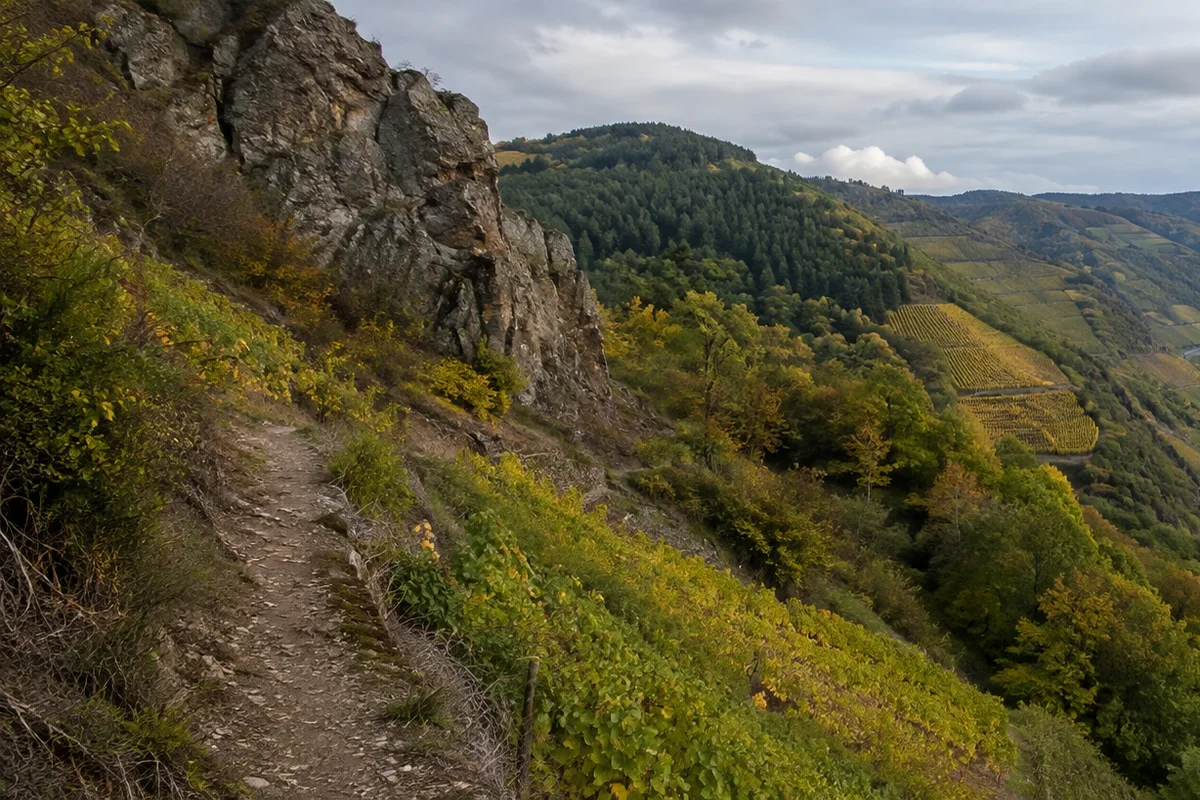 Oberer AhrSteig: Wald- und Wiesenwege nahe der Ahrquelle