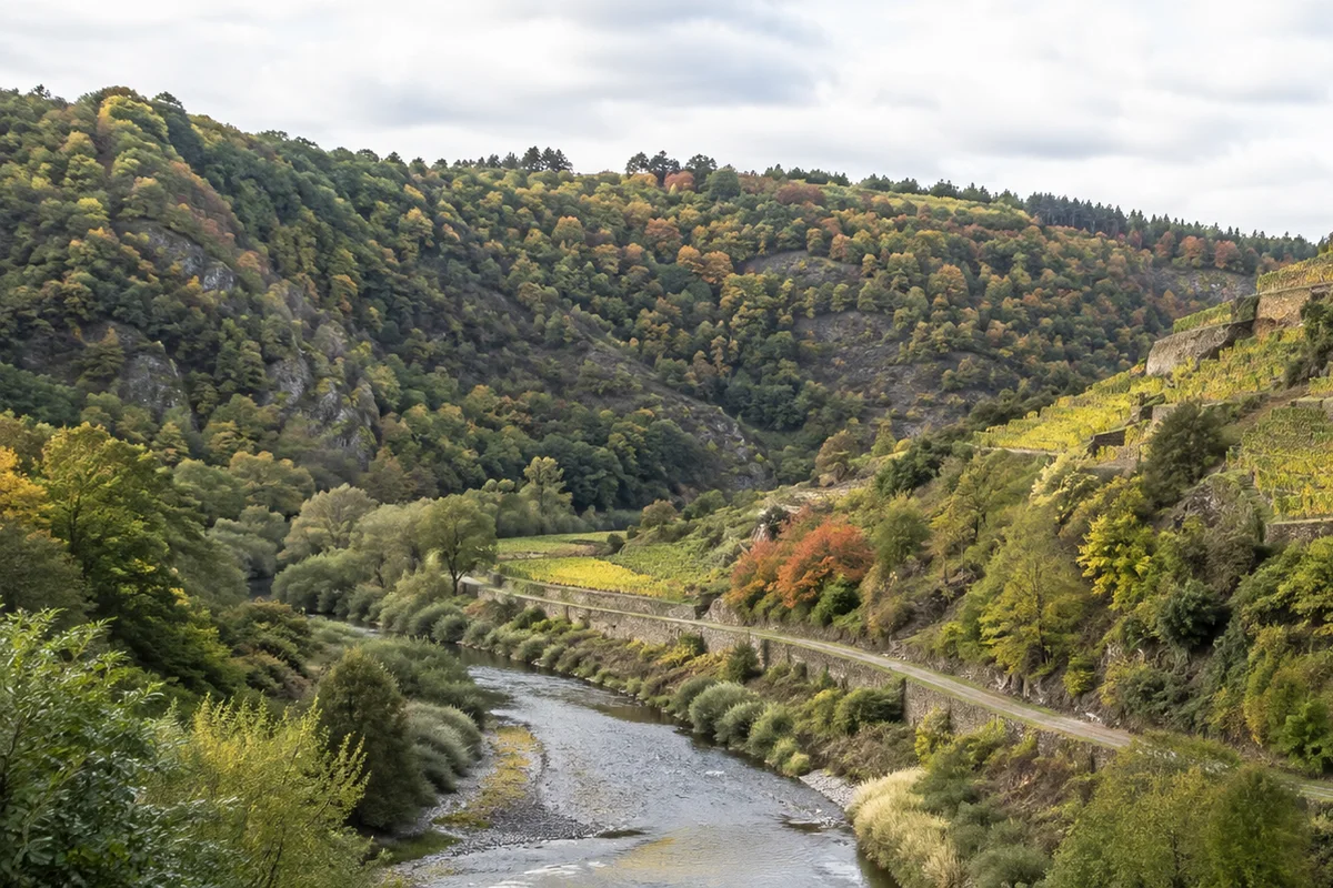 Mittelahr: enger Flussbogen unter bewaldeten Hängen