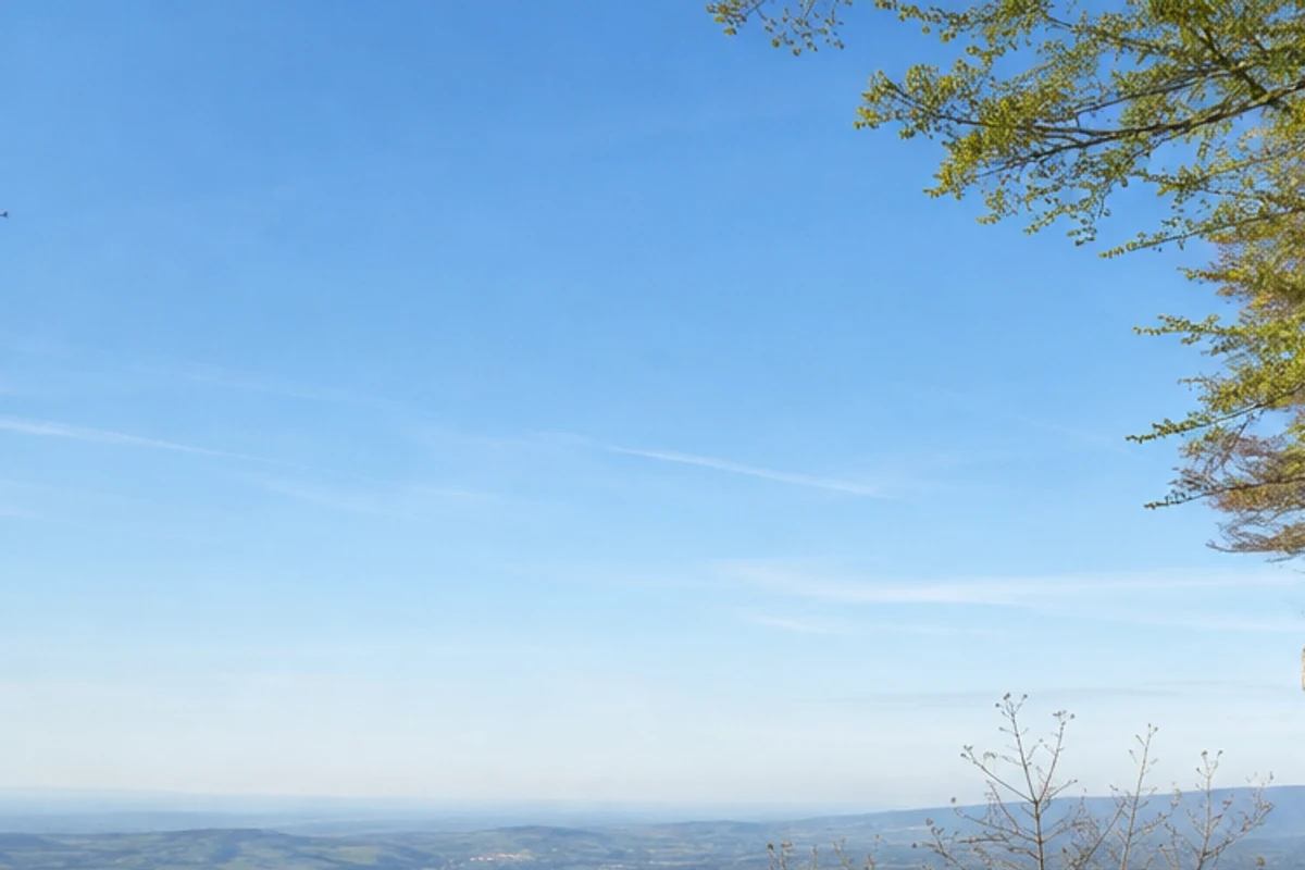 Mittlere Alb: Buchenpfad zwischen Burgruinen und Wacholderheiden