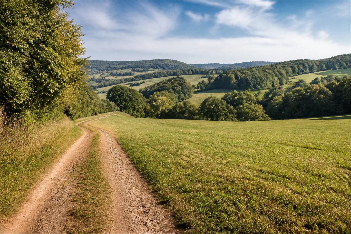 Feldweg am Rand einer offenen Wiese bei Lichtenberg im Fischbachtal, weite gerundete Hügel, kleine Waldinseln und Laubbäume; kein Schloss im Bild.