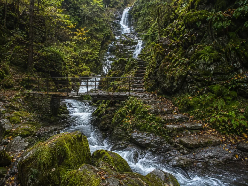 Lierbachschlucht: steiler Treppenpfad neben schäumendem Bach