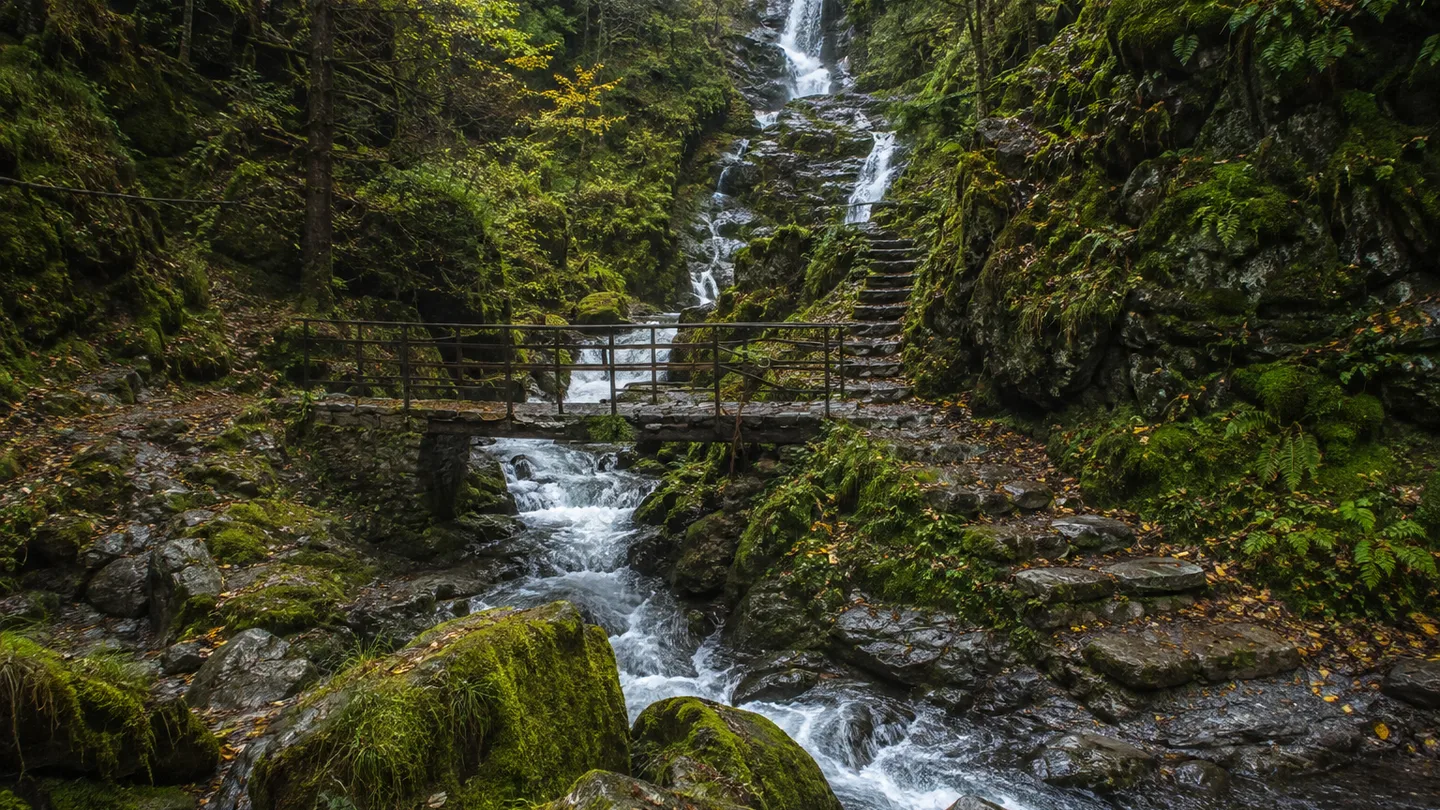 Allerheiligen-Wasserfälle: Allerheiligen-Wasserfälle: mehrstufige Kaskaden zwischen dunklen Felsen und Mischwald