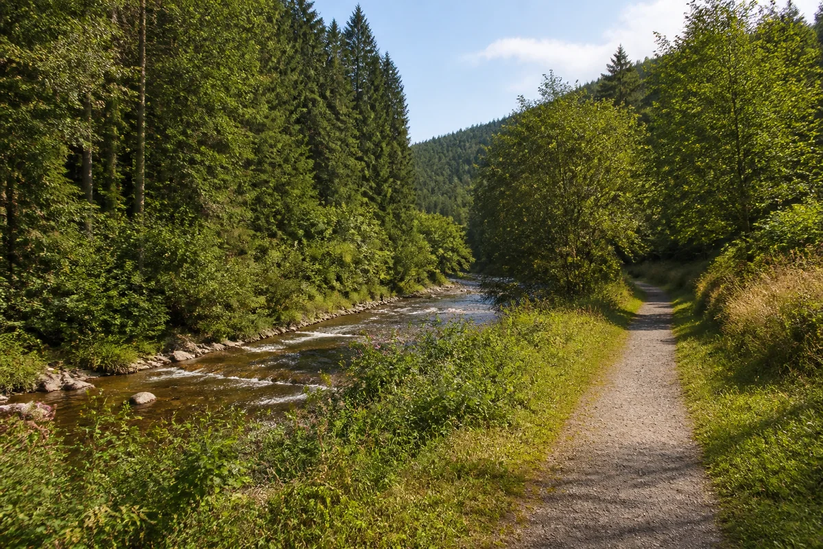Oberes Kinzigtal mit verstreuten Höfen, schmalem Fluss und steilen Waldflanken.