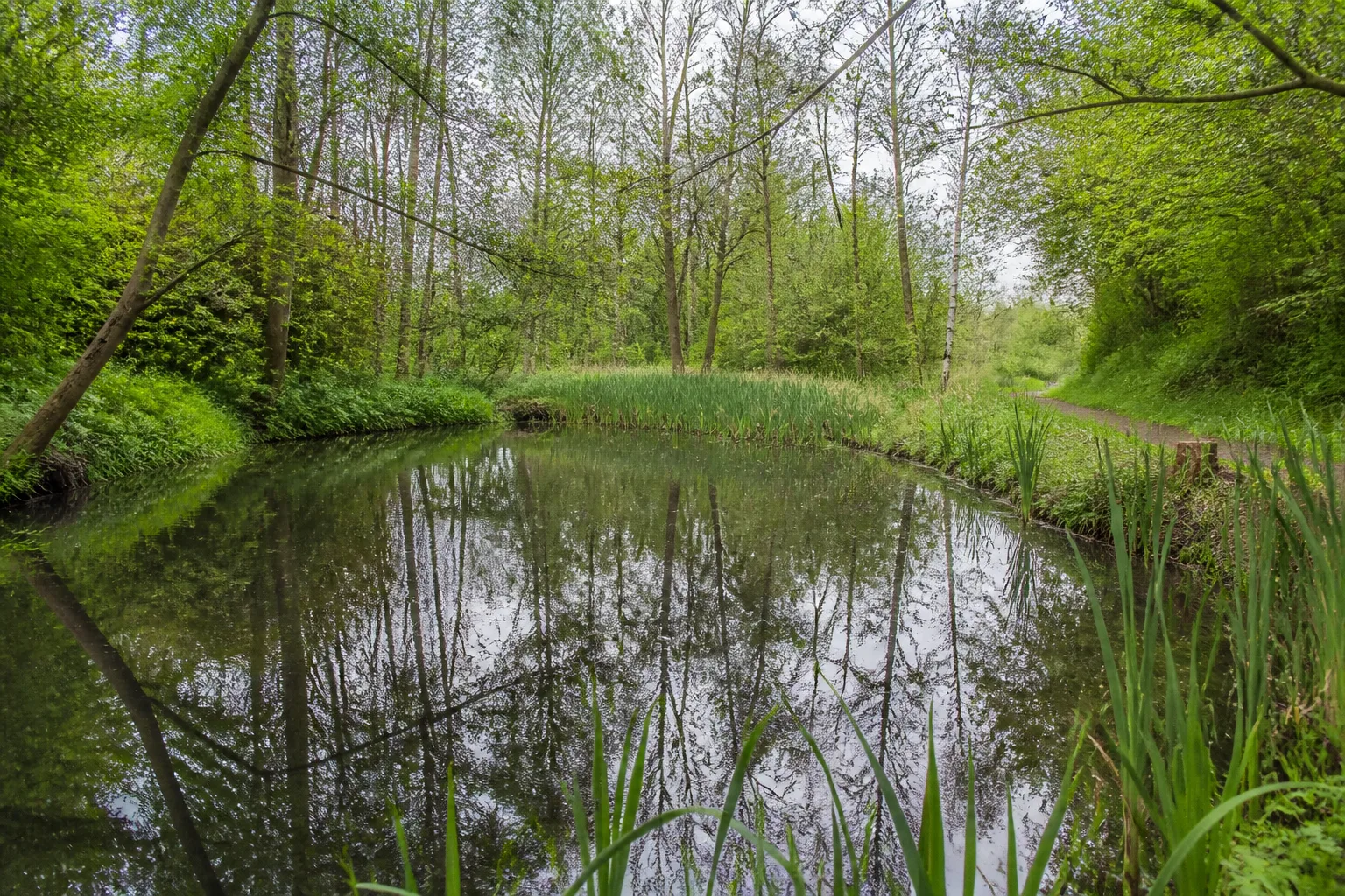 Begau und Wurmtalrand beim Wandern in Alsdorf
