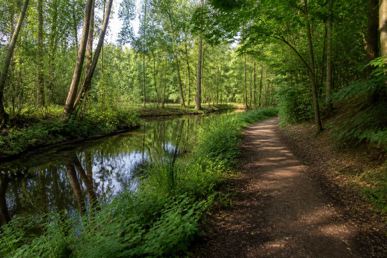 Alsdorf: Landschaft beim Wandern in Alsdorf