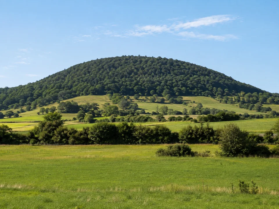 Bechtelsberg bei Berfa: Rundlicher bewaldeter Basaltberg hinter grünen Wiesen und Feldhecken