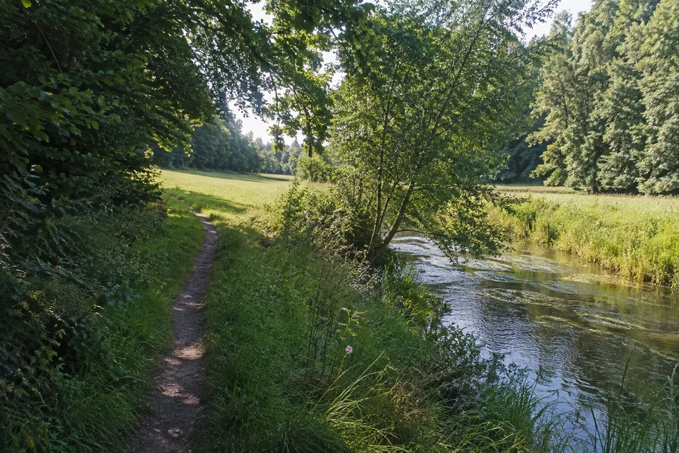 Oberes Hamburger Alstertal: Schmaler Fußweg am Rand einer grünen Wiese mit dichtem Laubwaldsaum und kleinem Fluss