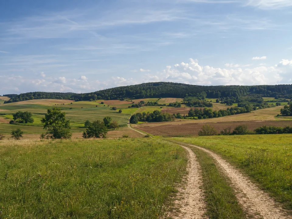Flur bei Hegnenberg: Offenes Jura-Hügelland bei Hegnenberg mit Feldweg, Wiesen, Äckern und bewaldeten Höhen am Horizont.
