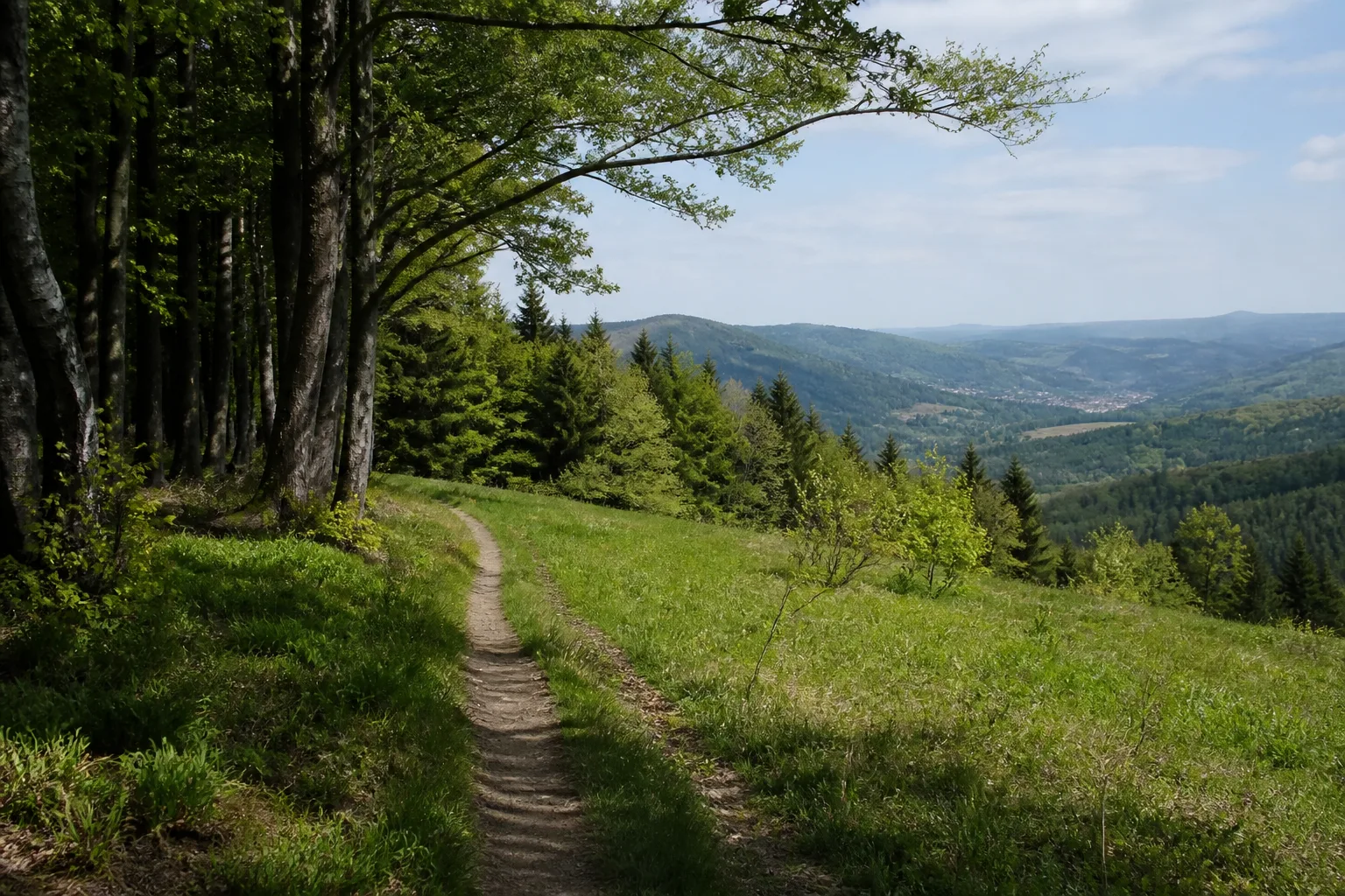 Wanderpfad an einer Waldwiese auf dem Hegenscheid über Altena