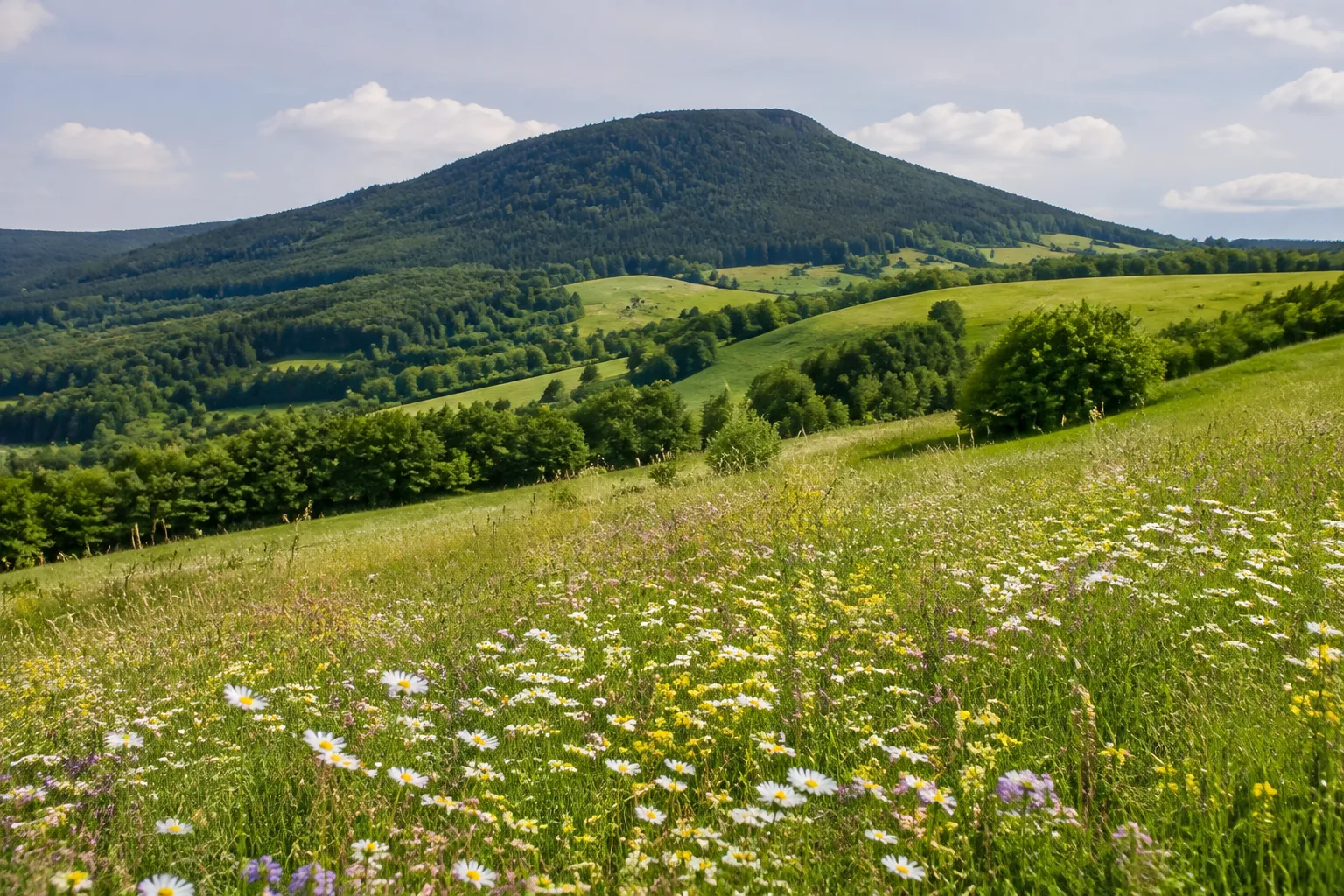 Geisingberg: bewaldete Basaltkuppe über offenen Wiesen