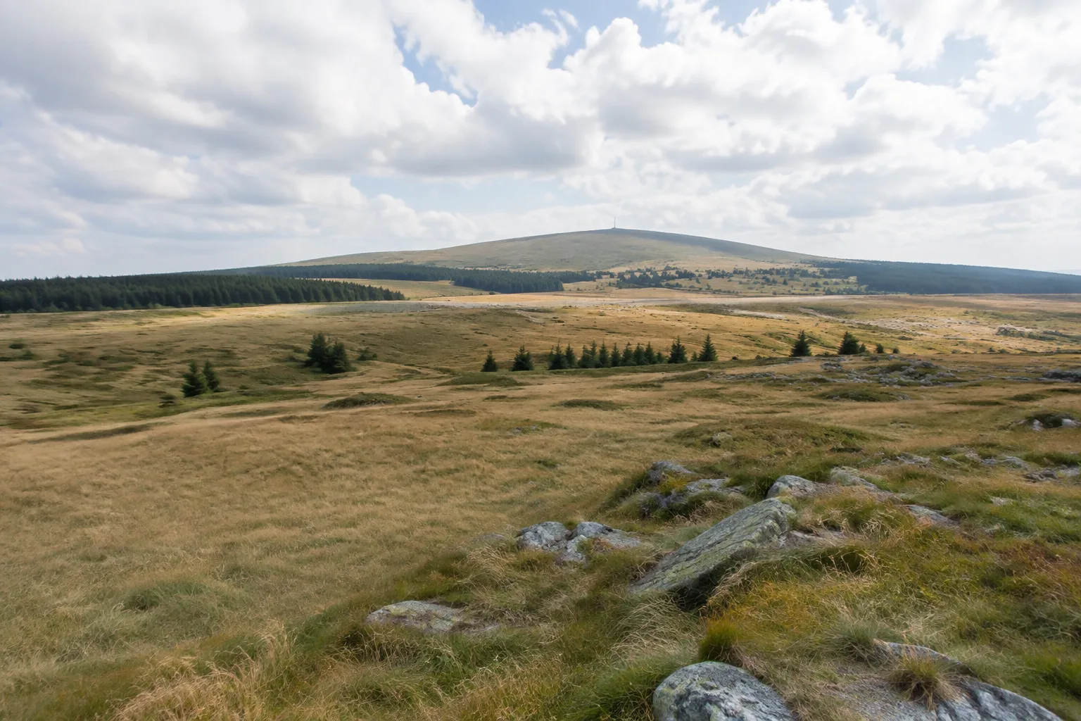 Altenberg (Erzgebirge): Altenberger Hochfläche: weite Bergwiese vor Kahleberg und dunklem Wald