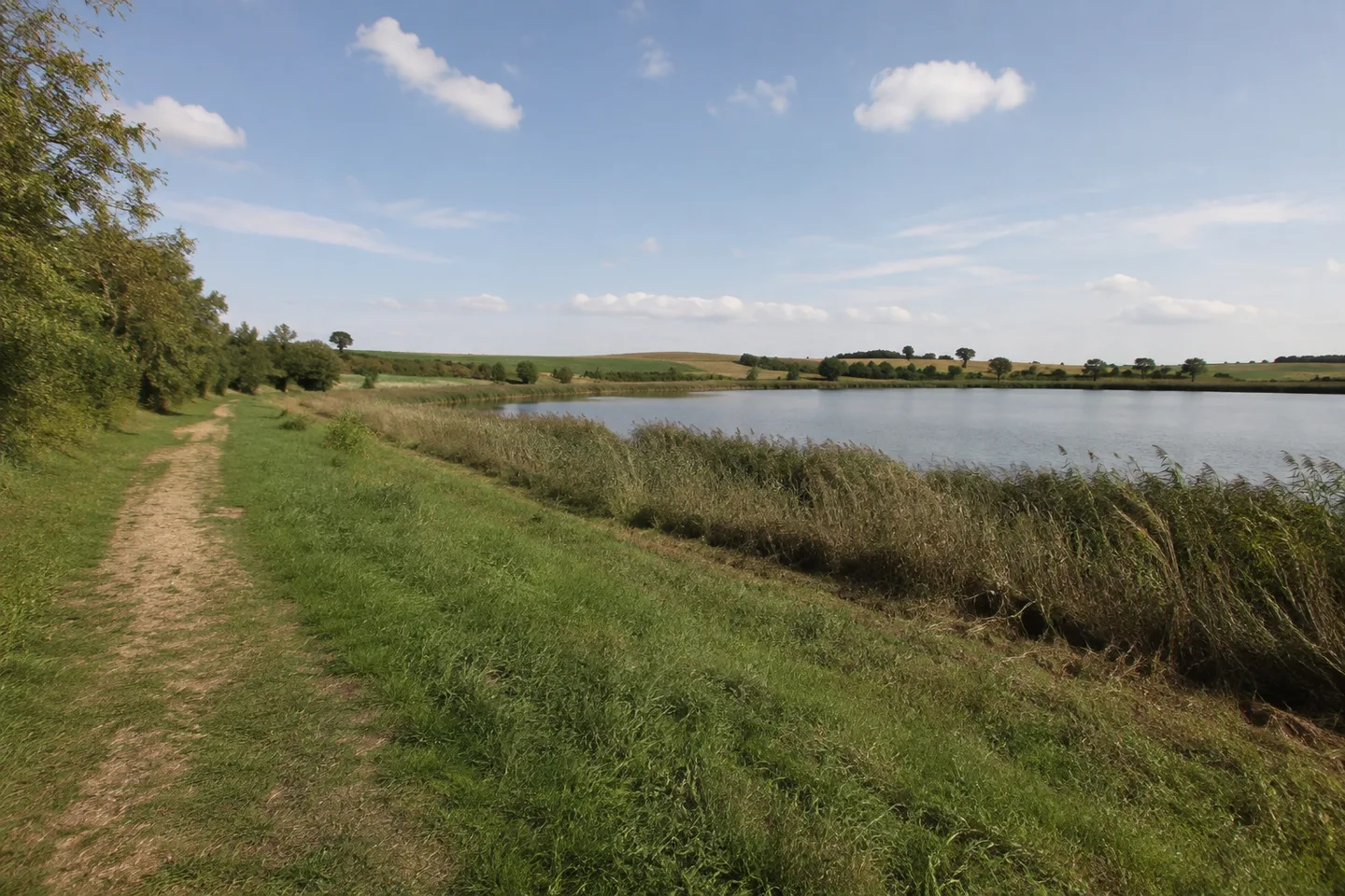 Kleiner Stausee bei Alzey mit Schilfrand und flachen Wiesen, keine Alpenkulisse.