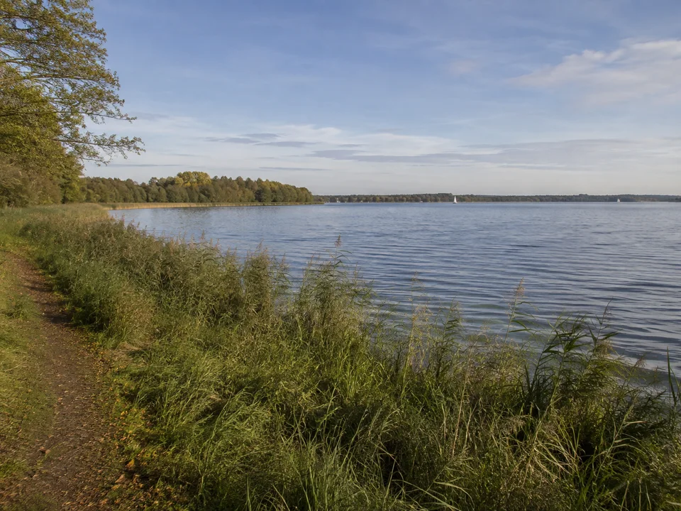 Am Zwischenahner Meer: Breiter Binnensee mit niedrigen bewaldeten Ufern und Schilfrand, kein Meereshorizont, flache Landschaft