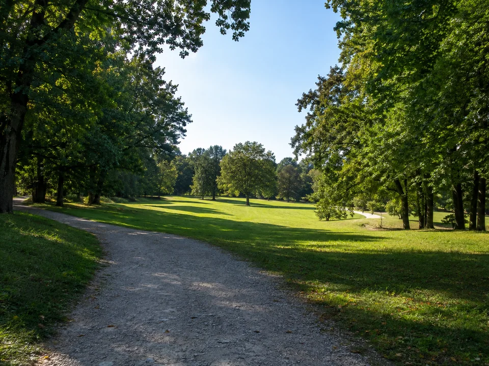 Rasteder Parklandschaft: Alter Eichen-Buchenbestand mit breiten geschwungenen Parkwegen, Lichtungen und Wiesen auf sehr sanft gewelltem Grund