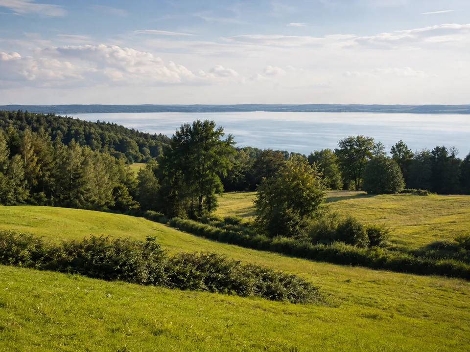 Ammersee westliches Hinterland bei Dießen: sanfte Wiesenhügel, Hecken und Waldsaum mit Seeblick im Hintergrund