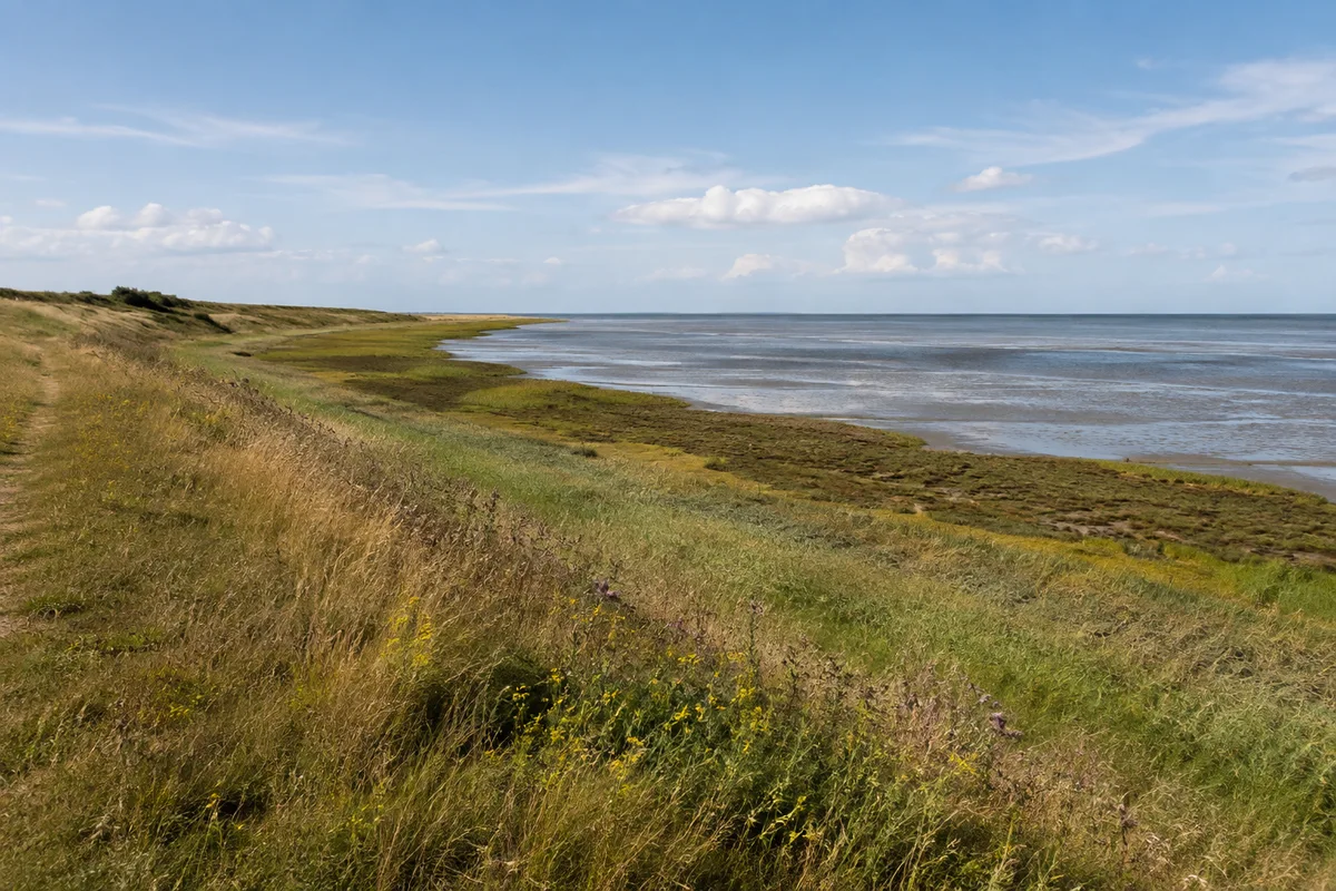 Amrumer Wattseite: Flache grasige Geestkante an ruhigem Wattenmeer mit Salzwiesensaum, kein felsiges Ufer