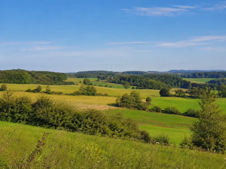 Friedinger Höhen bei Andechs: offene Felder, Hecken und grüne Wiesen auf niedrigen Hügeln