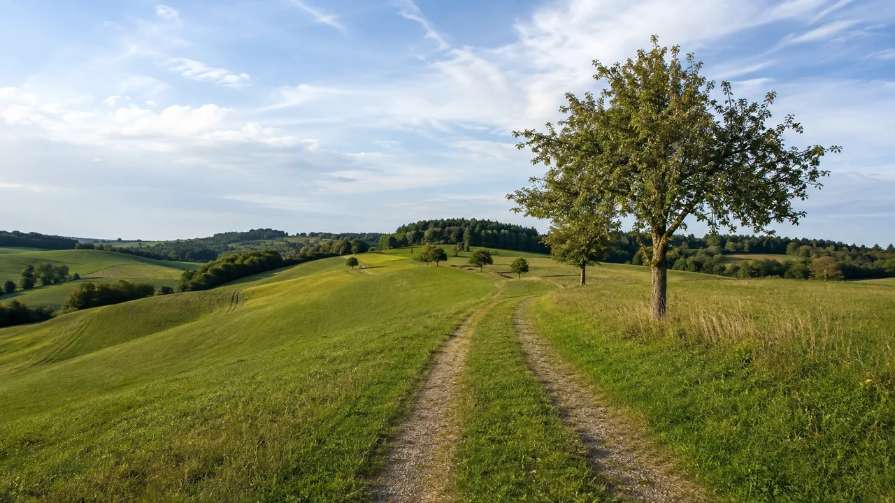 Andechs: Erling Andechser Straße: Andechser Erlinger Flur: grüner sanft gewellter Moränenrücken mit Feldweg und einzelnen Bäumen, keine erfundenen Klostergebäude