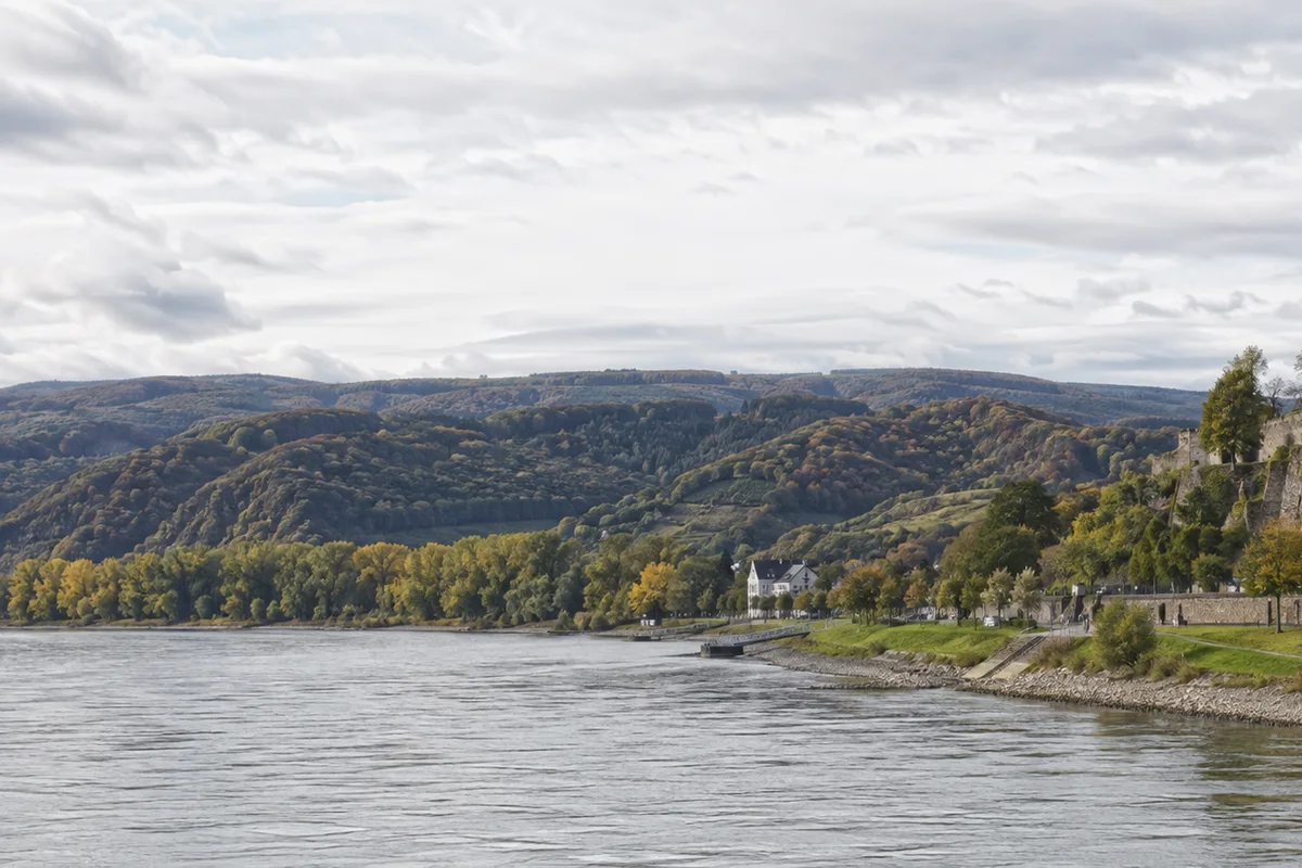 Krahnenberg: bewaldeter Höhenrand über dem Rhein