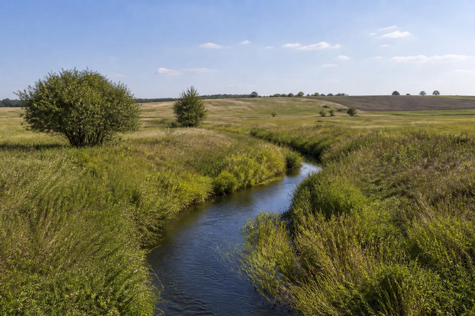Biesenbrower Landschaft: kleiner Wasserlauf zwischen Wiesen und sanft gewellten Feldern
