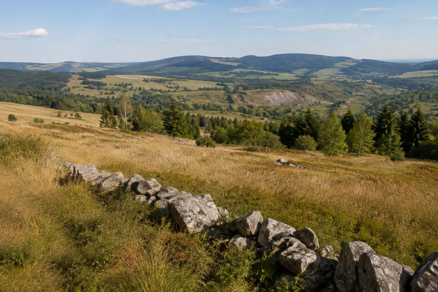 Frohnauer Höhe: offene Heckenlandschaft mit Bergbauspuren