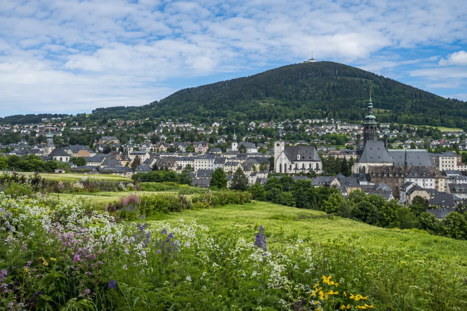 Annaberg-Buchholz: Annaberg-Buchholz: Annaberg und Pöhlberg: historische Bergstadt vor bewaldeter Basaltkuppe und Feldterrassen
