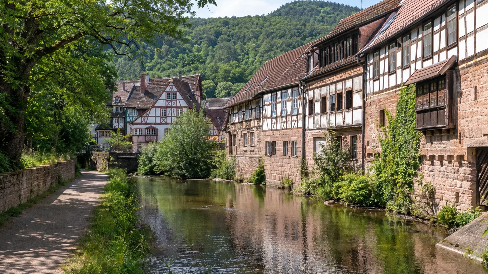 Annweilerer Stadtwald: Mischwaldpfad auf Sandstein