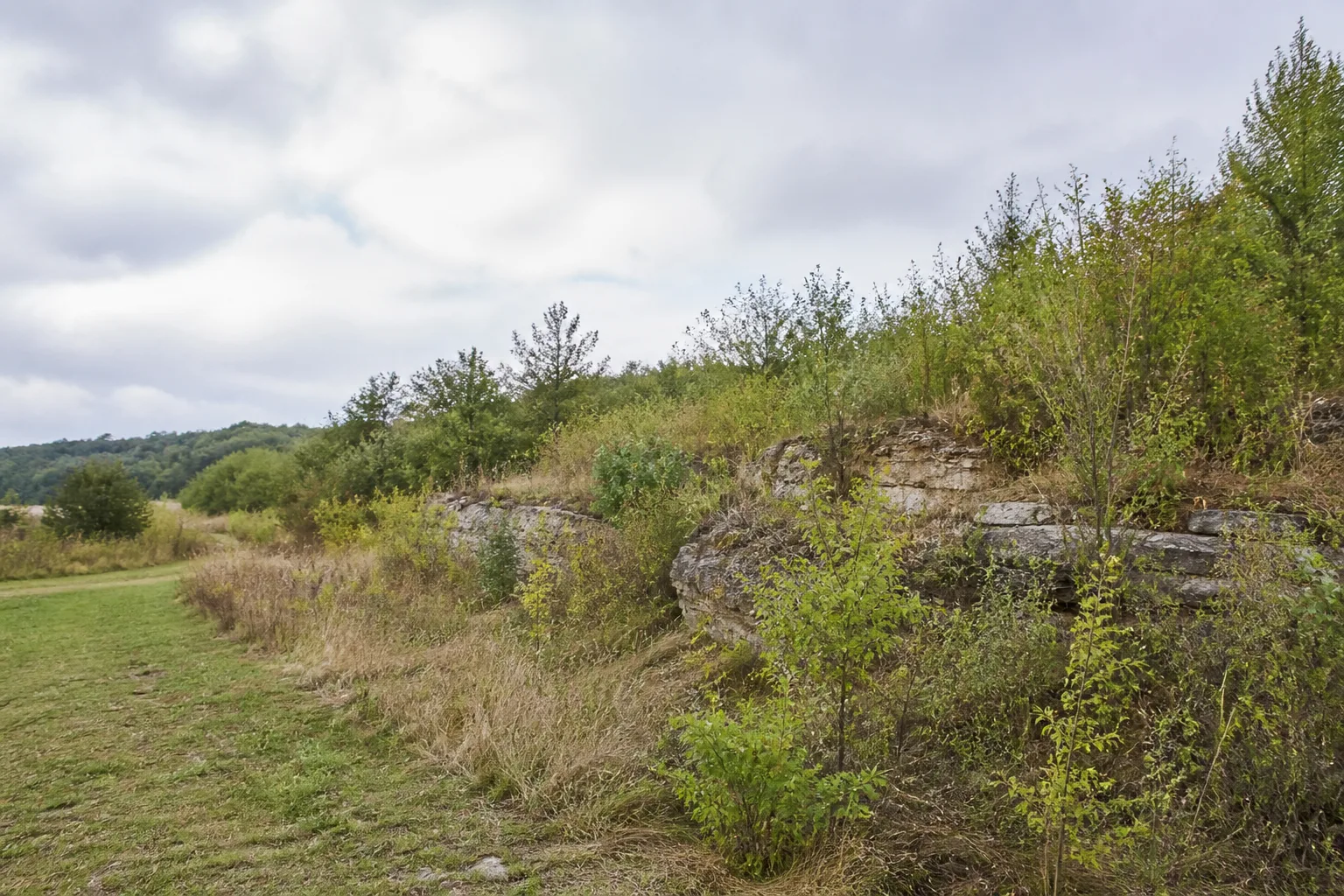 Kalksteinlandschaft in Anröchte