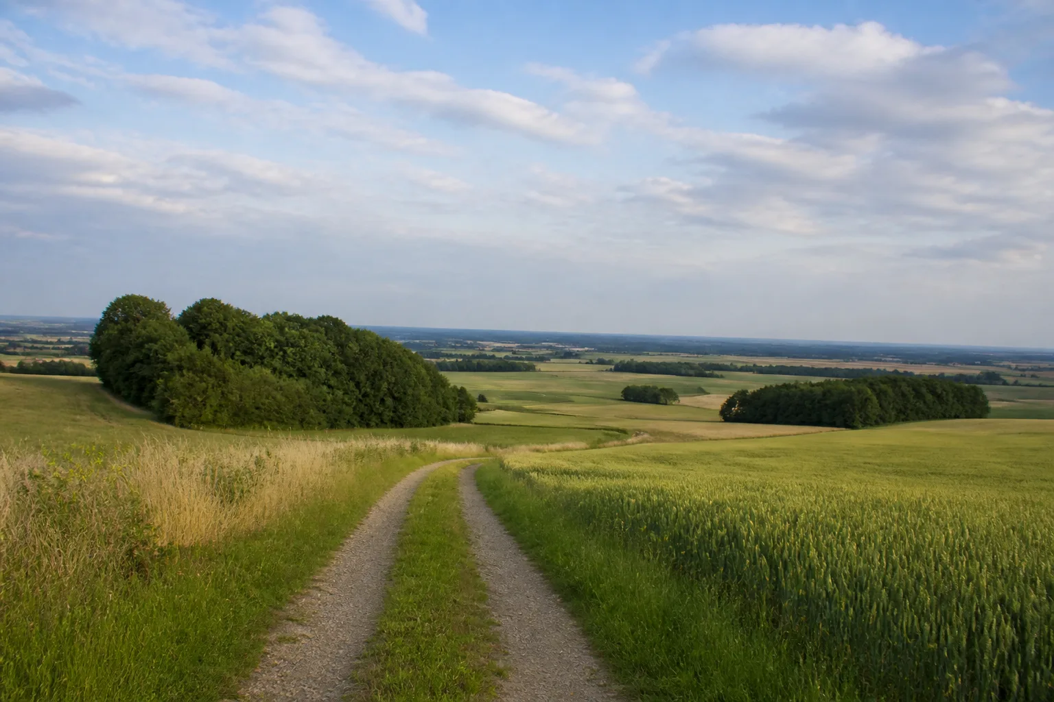Offene Haarstranglandschaft bei Anröchte