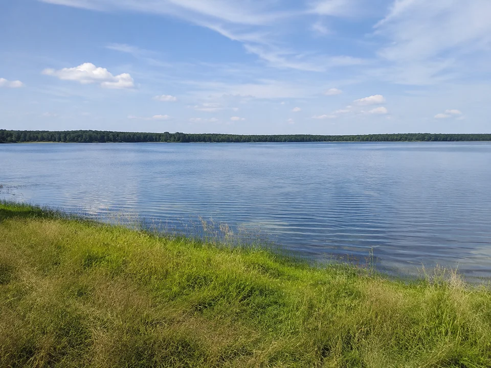 Zießauer Seeweite: Breiter Blick über den Binnensee von niedrigem grasigem Ufer, Wald am entfernten Ufer