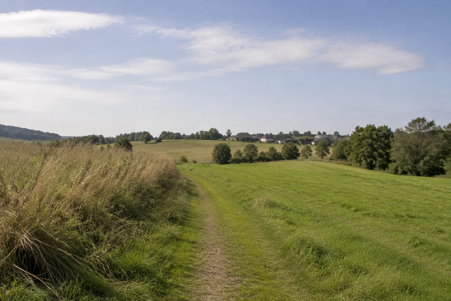 Halenbacher Fluren: leicht geneigter Wiesenweg mit kleinen Hofgruppen und Laubgehölzen am Horizont.