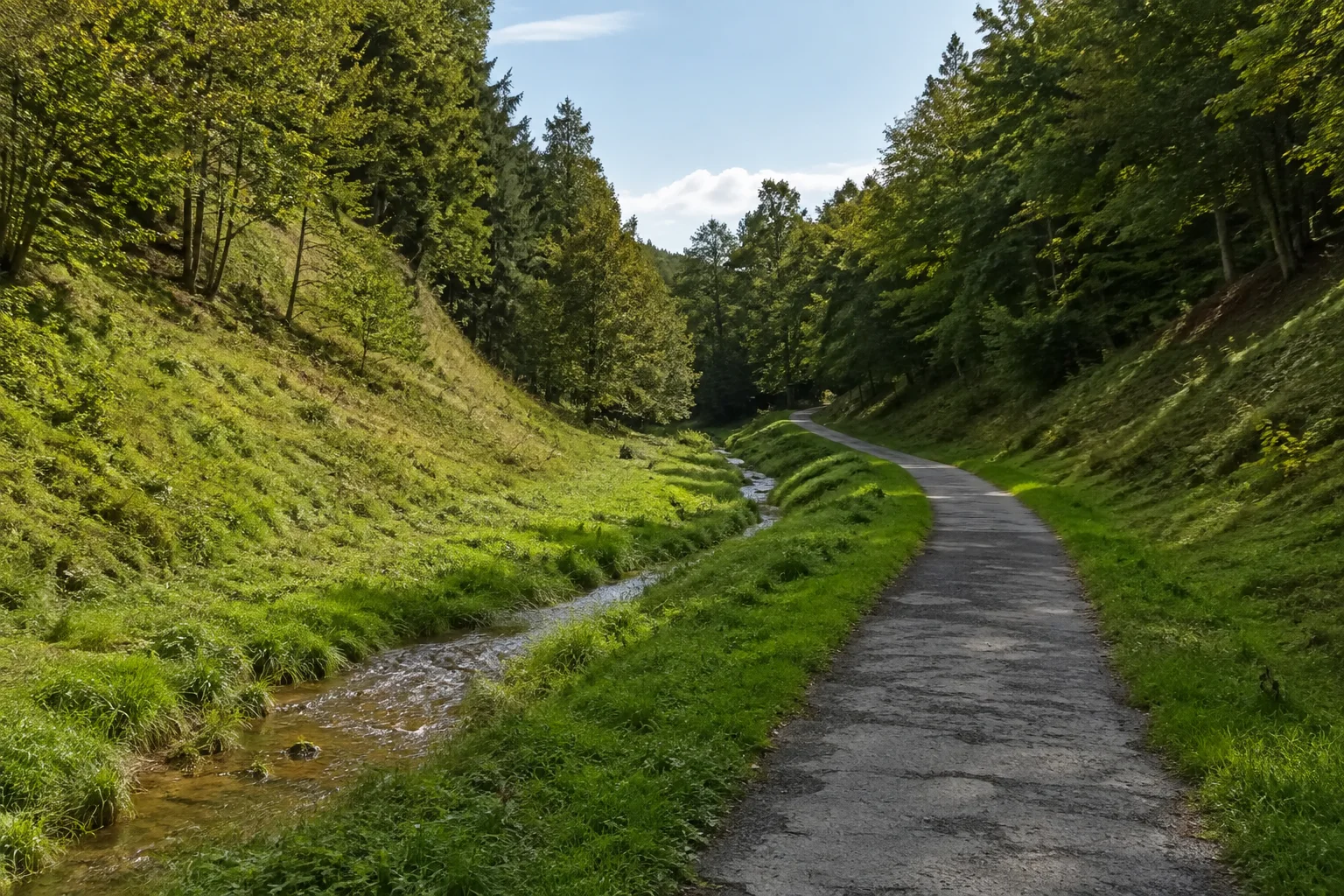 Neurather Enzzugang: schmaler Bach in einer grasigen Mulde unter bewaldeten Hängen, begleitender befestigter Weg.