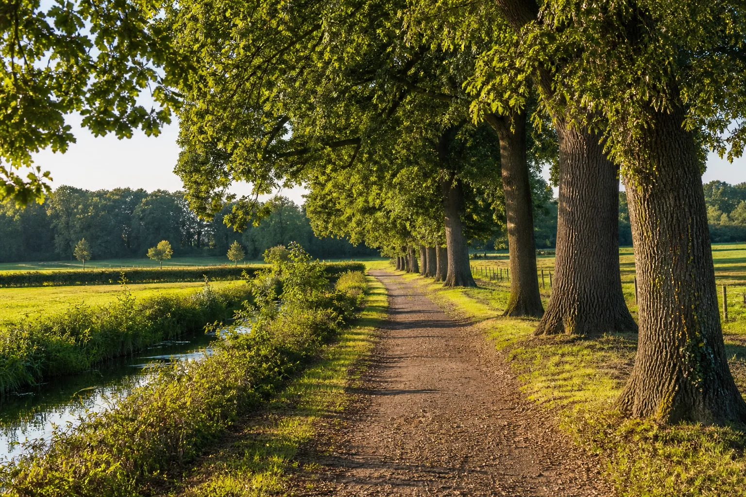 Westerwinkel
