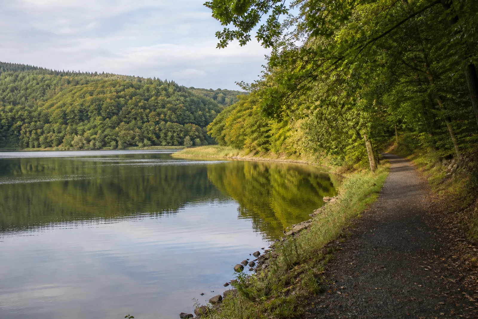 Uferweg an einer ruhigen bewaldeten Bucht des Biggesees