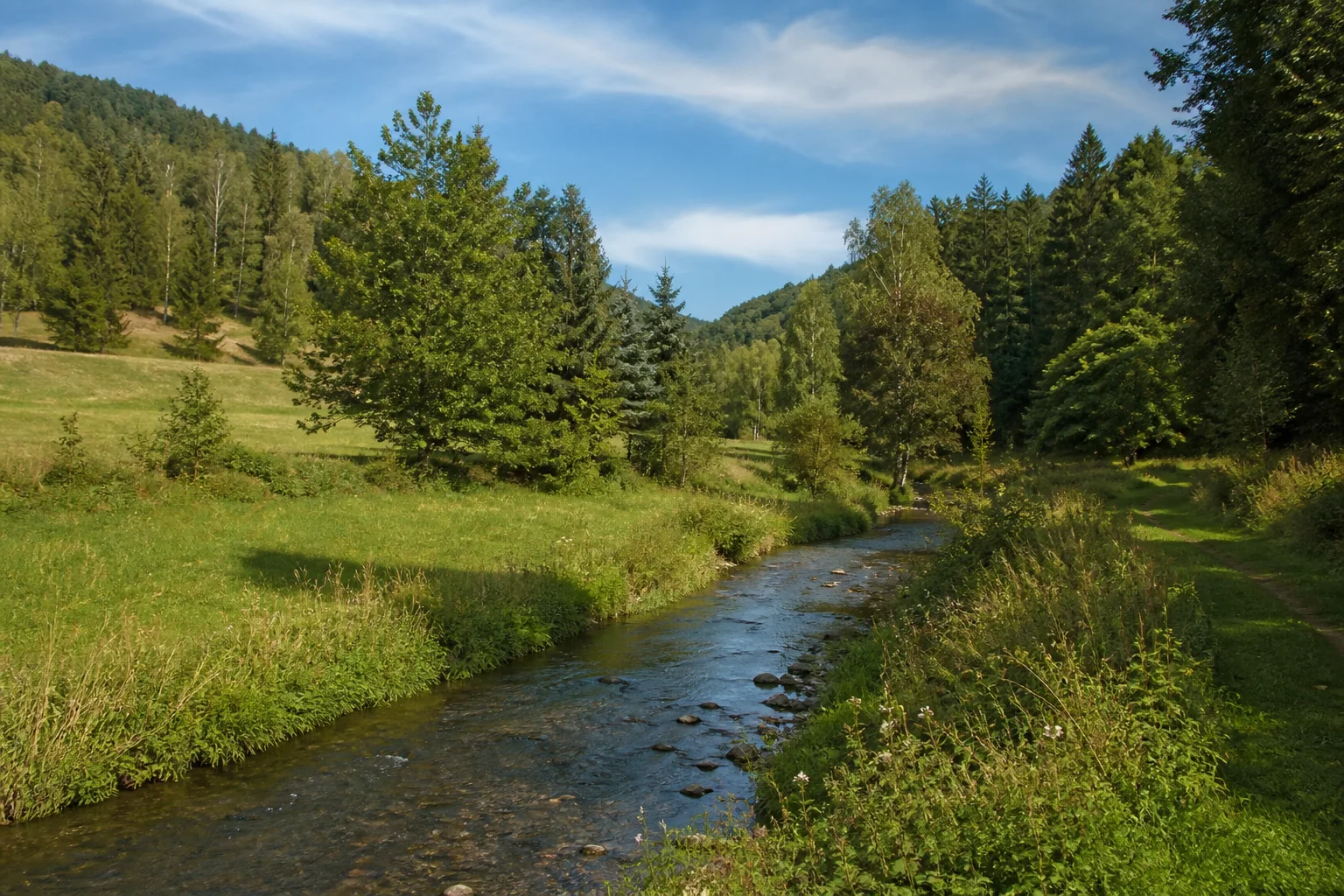 Wildbacher Landschaft: kleiner Bach zwischen grünen Wiesen und gemischtem Wald