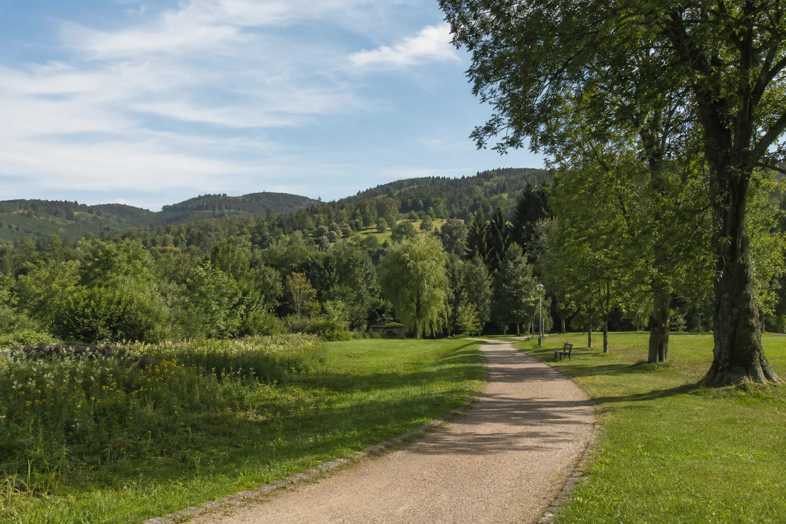 Aue-Bad Schlema: Aue: Schlemaer Grünanlagen: gepflegter Parkweg mit Wiesen und Laubbäumen vor niedrigen bewaldeten Erzgebirgshängen